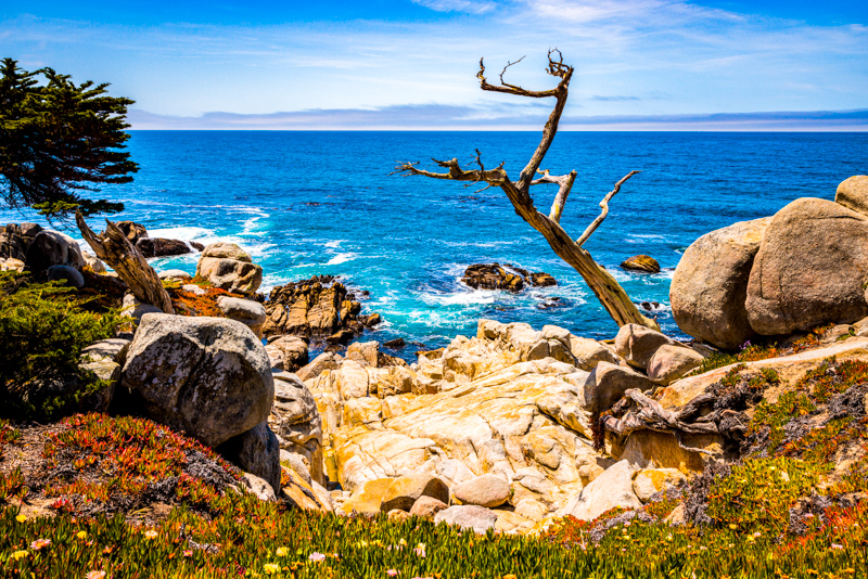 17-mile Drive