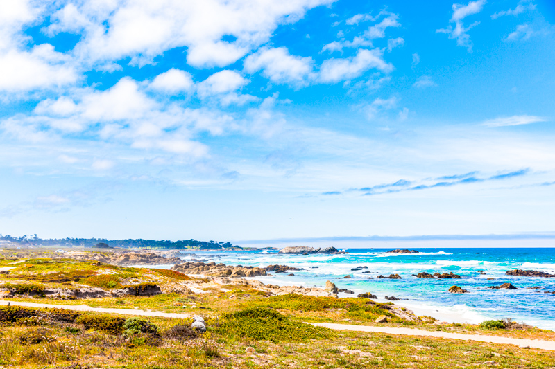 17-mile Drive