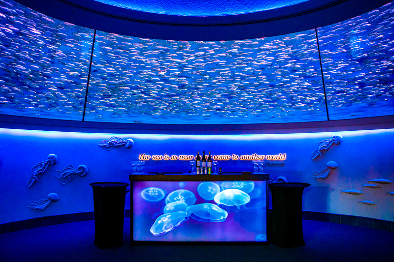 Monterey Bay Aquarium