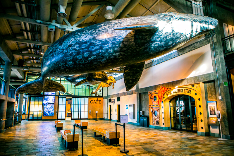 Monterey Bay Aquarium