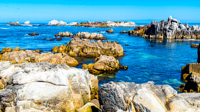 17-mile Drive