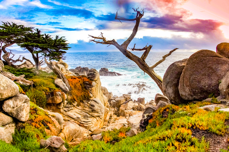 17-mile Drive