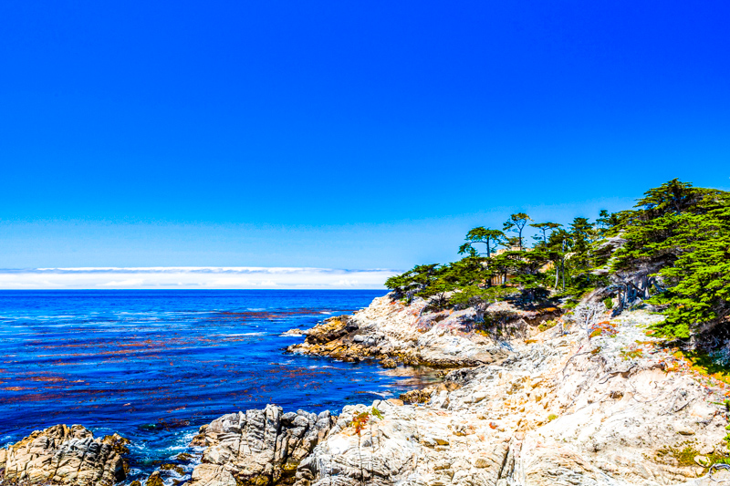 17-mile Drive