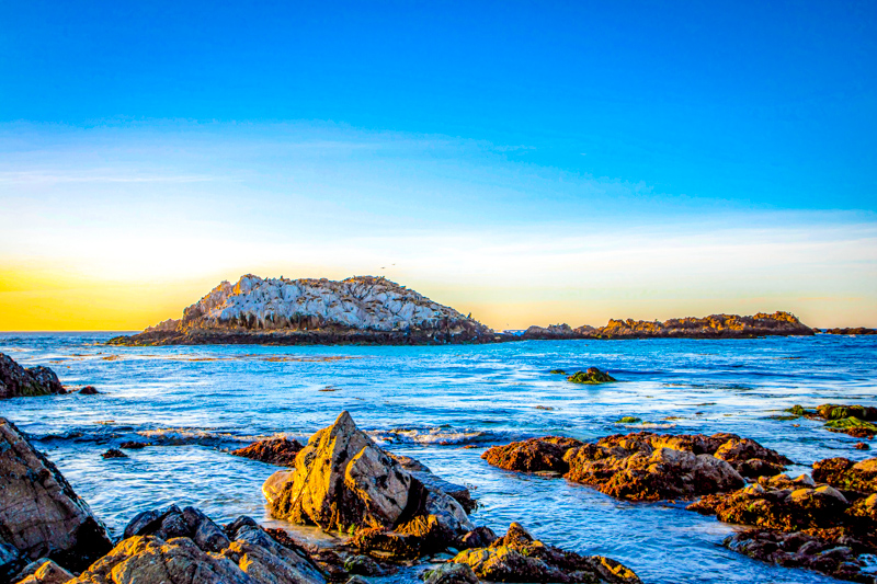 Bird Rock