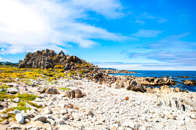 17-mile Drive
