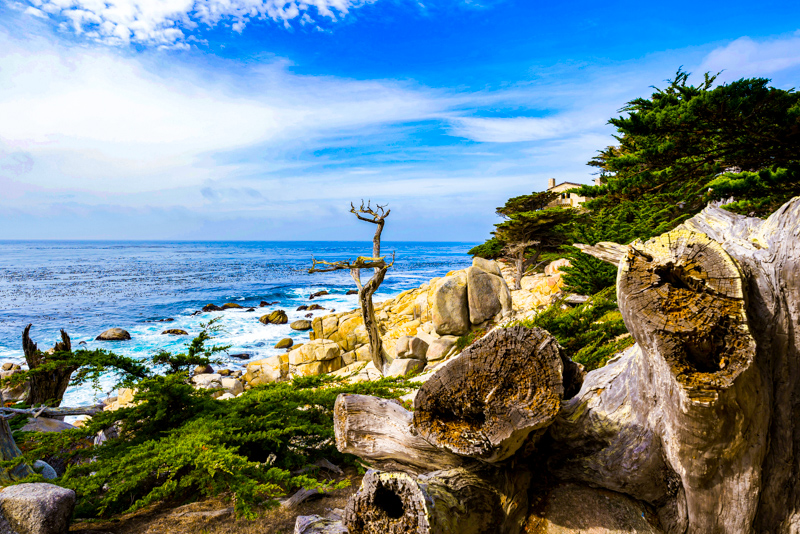 17-mile Drive