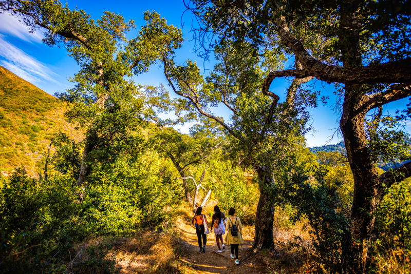 Valley View Trail