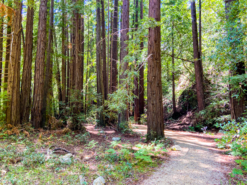 Nature Trail