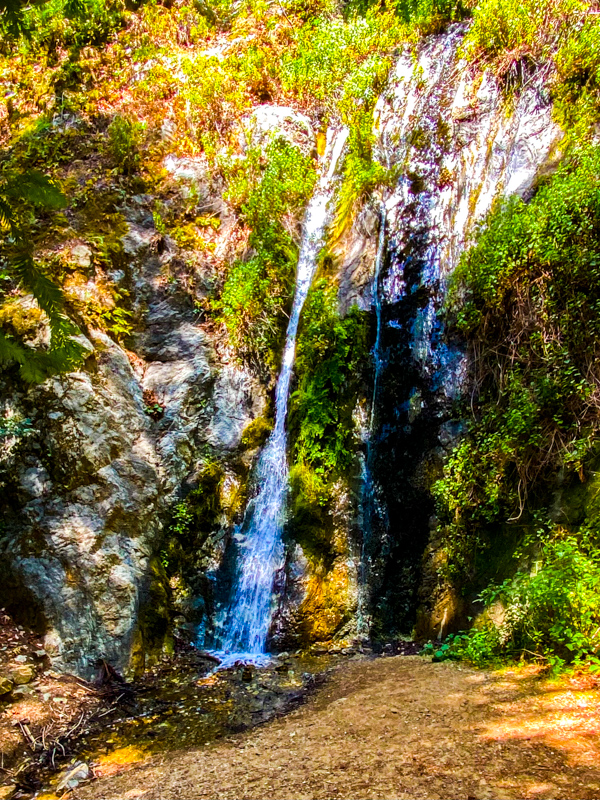 Pfeiffer Falls
