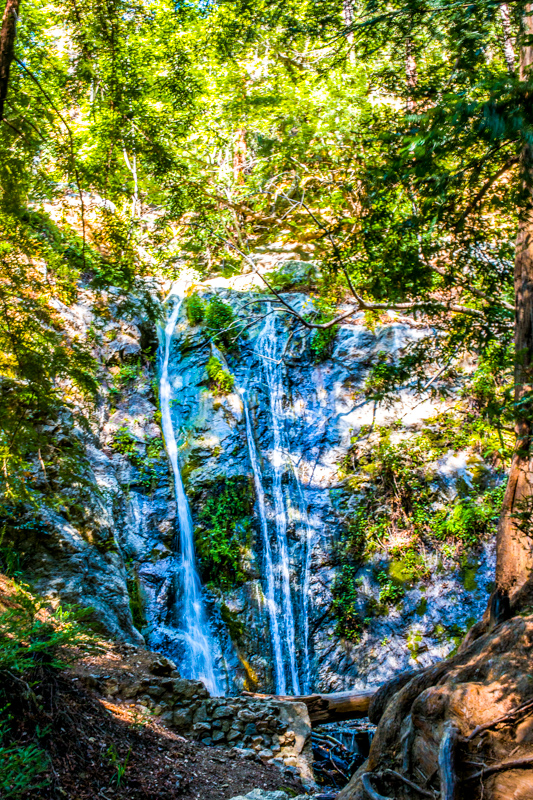 Pfeiffer Falls