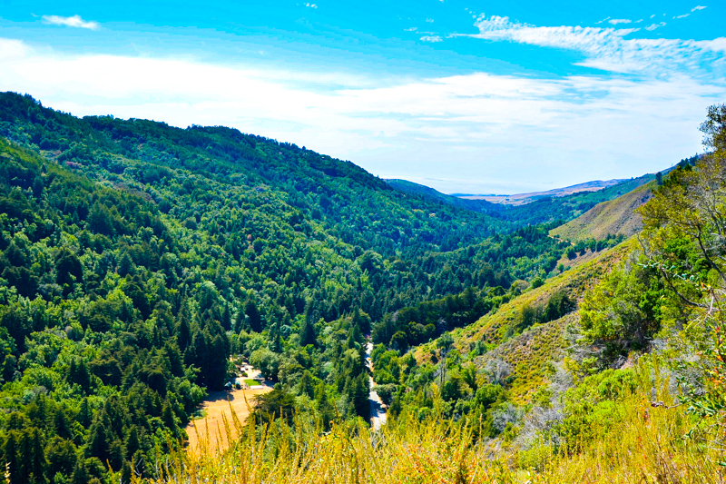 Valley View Trail