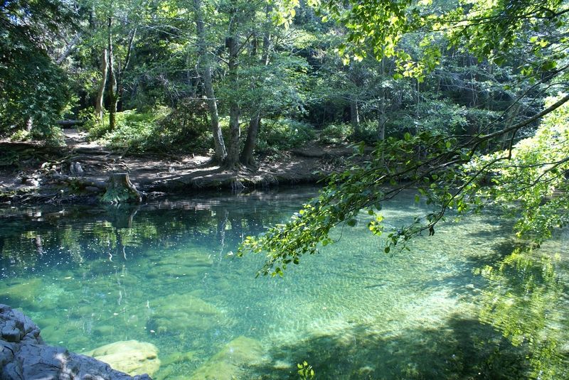 Pfeiffer Big Sur State Park