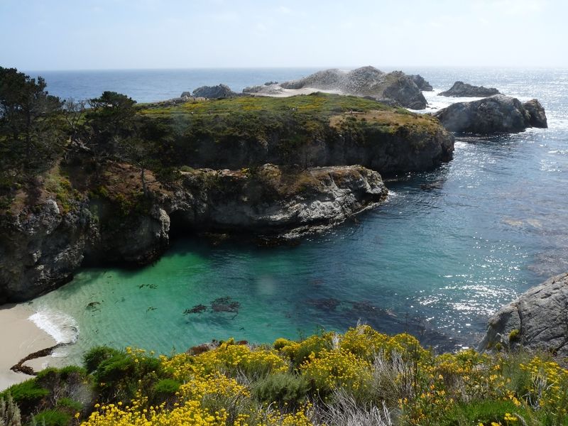 Point Lobos State Natural Reserve