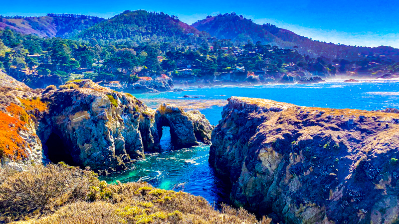 Bird Island Trail