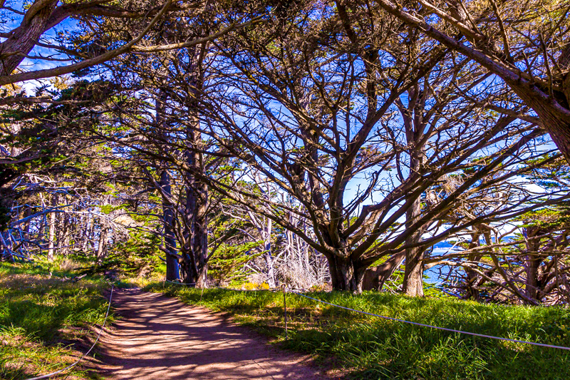 Cypress Grove Trail