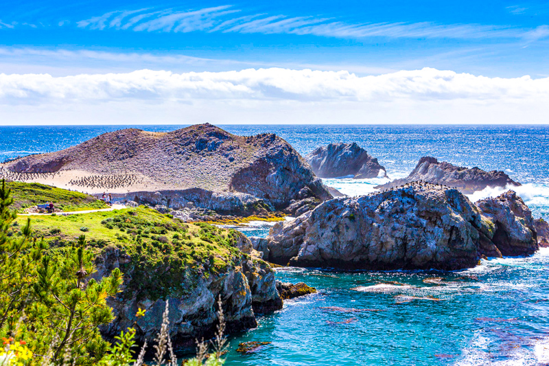 Bird Island