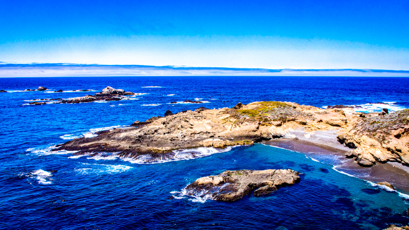 Sea Lion Point