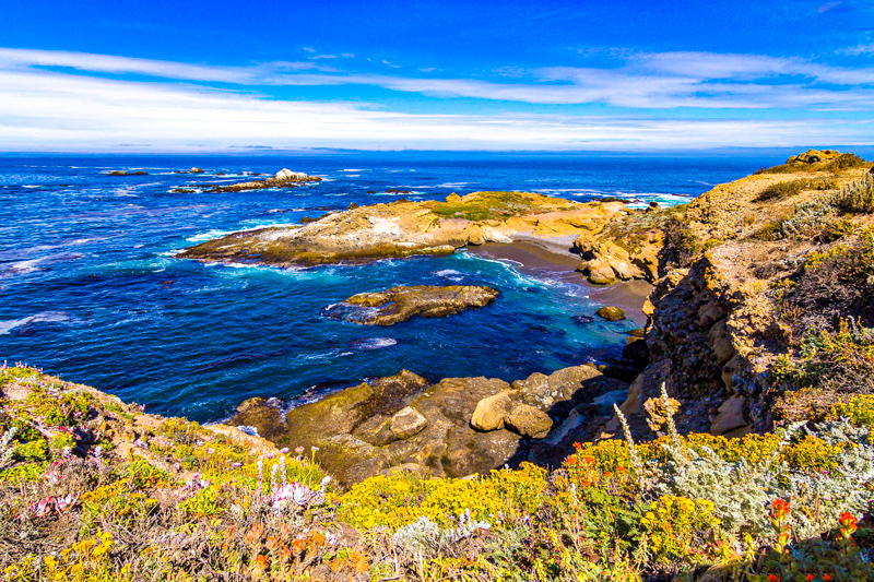 Sea Lion Point