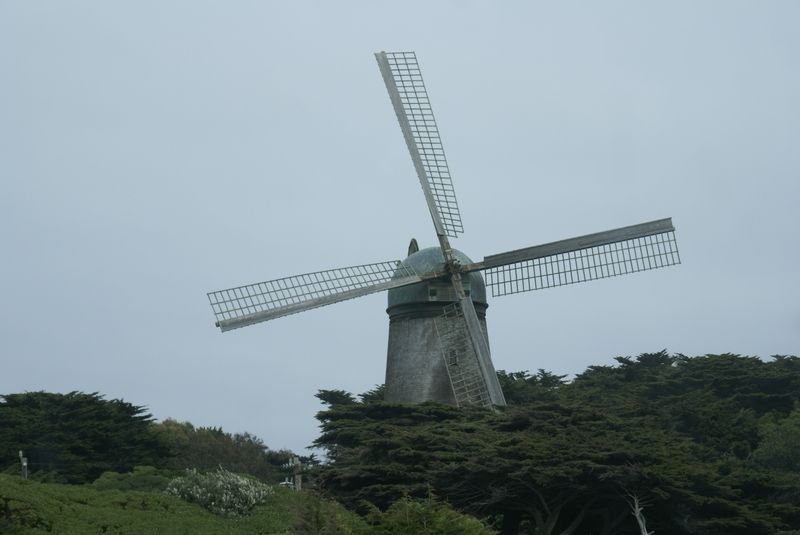 Golden Gate Park