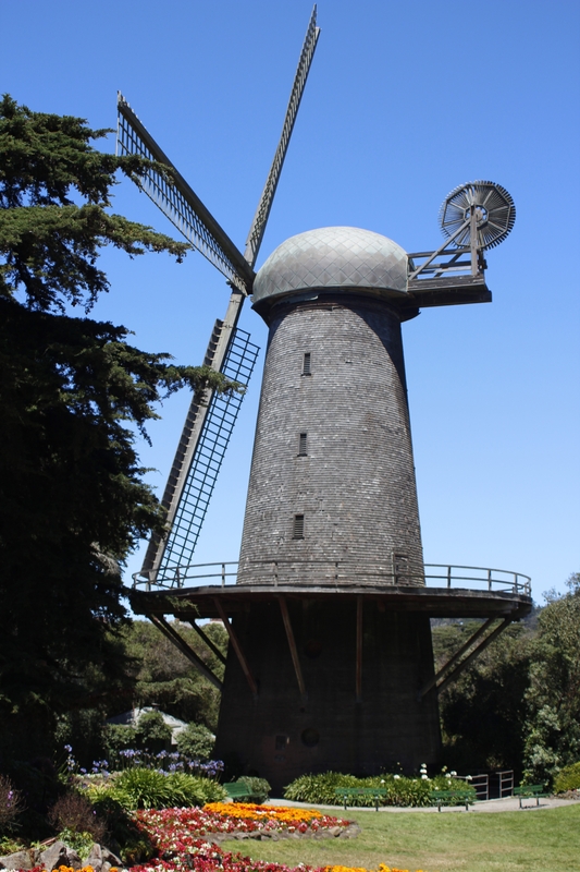Golden Gate Park
