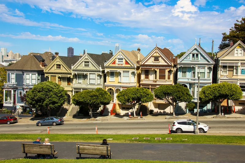 Painted Ladies