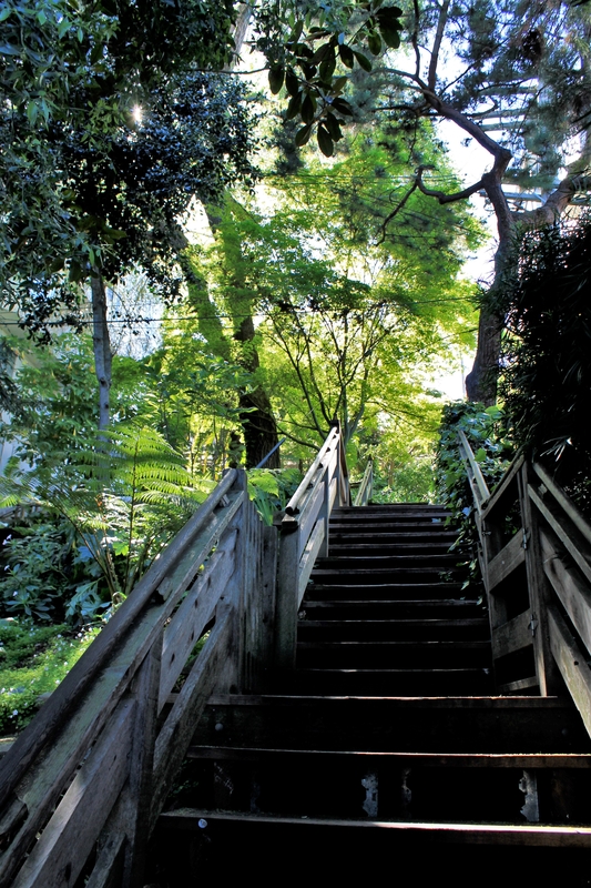 Filbert Street Steps