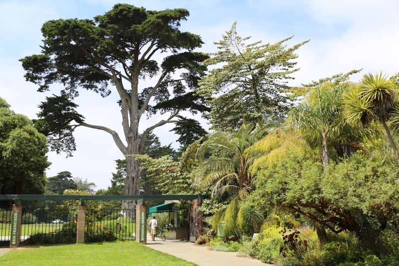 San Francisco Botanical Garden at Strybing Arboretum