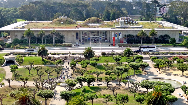California Academy of Science