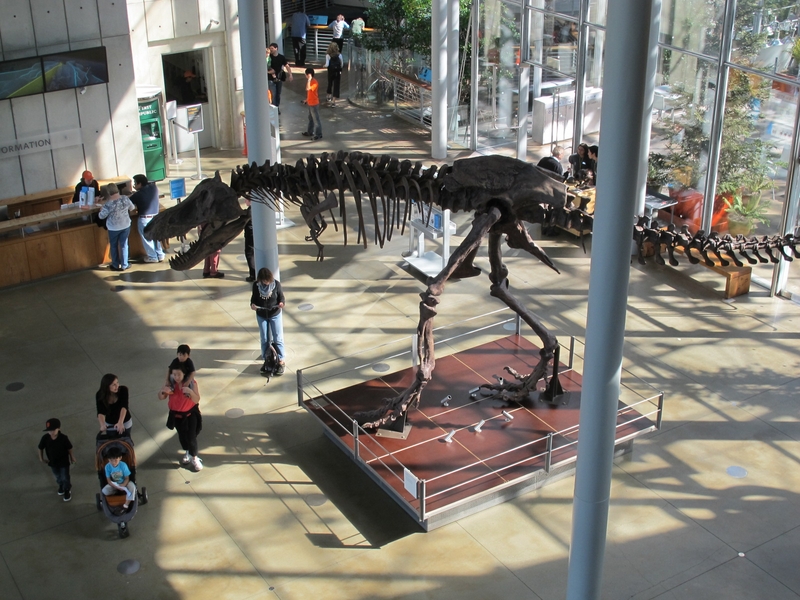 California Academy of Science