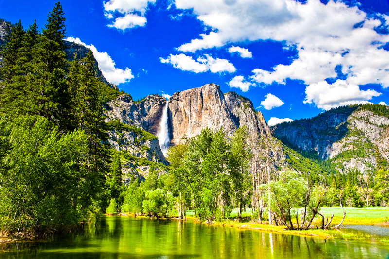 Sentinel Meadow