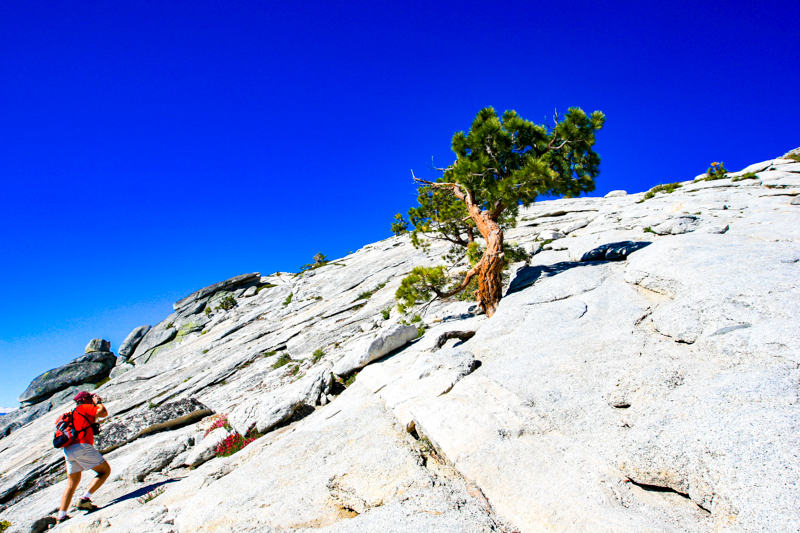 Half Dome Trail