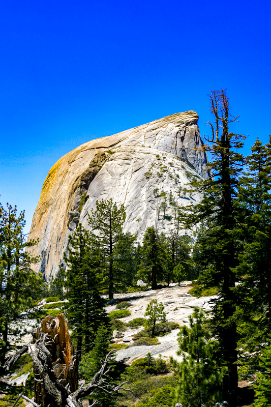 Half Dome Trail