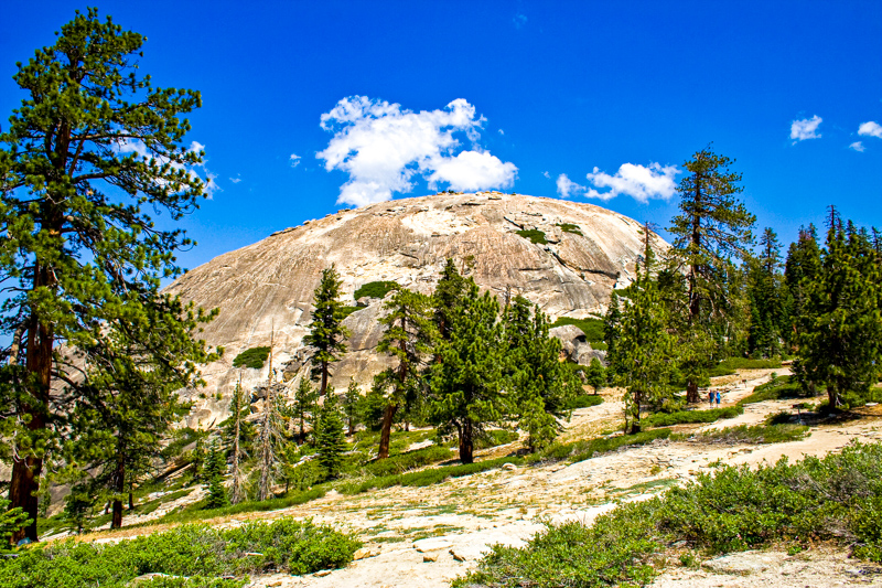 Sentinel Dome Trail