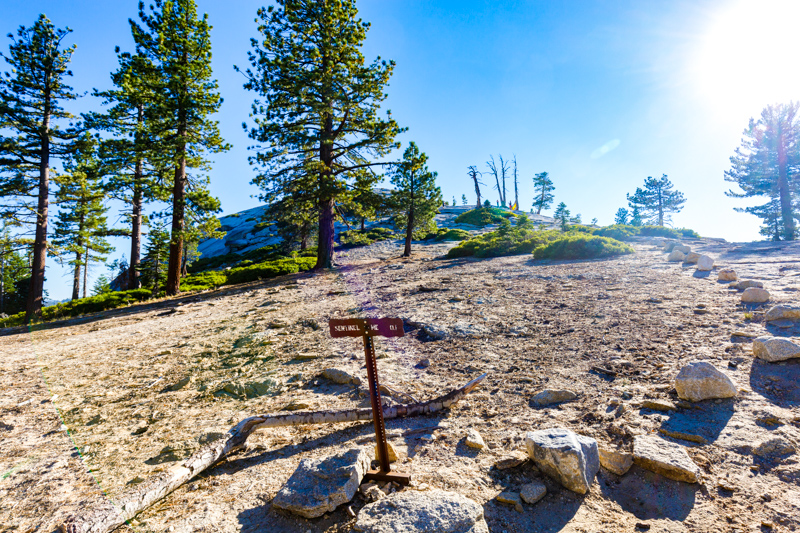 Sentinel Dome Trail