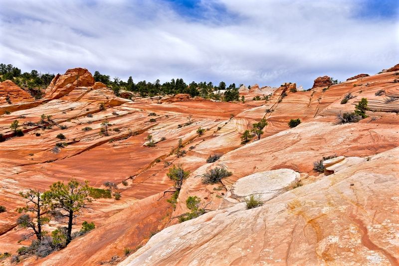 White Domes Trail