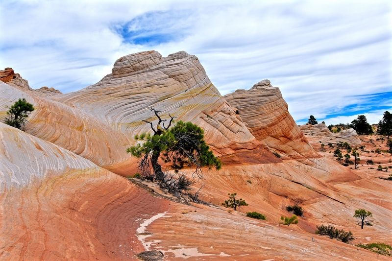 White Domes