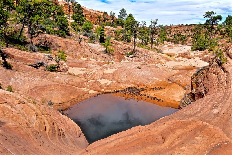 White Domes Trail