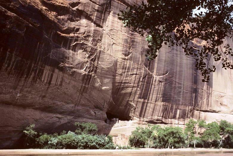 Sur White House Trail