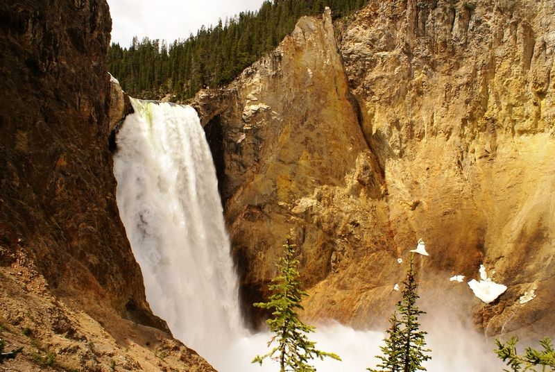 Lower Yellowstone Falls