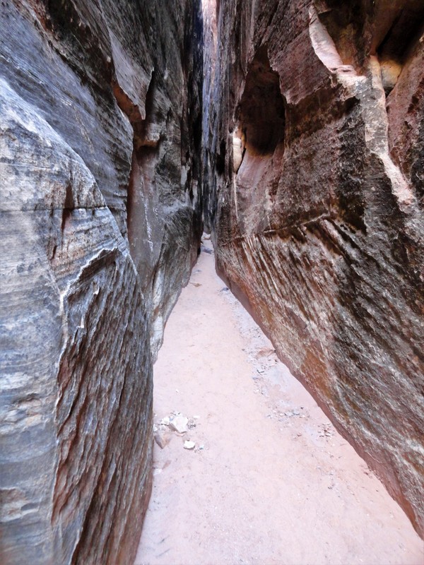 Joint Trail