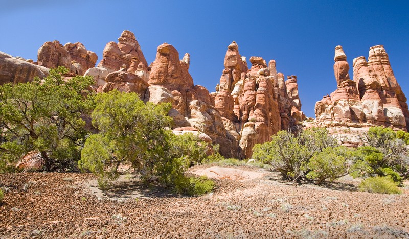 Chesler Park Loop Trail
