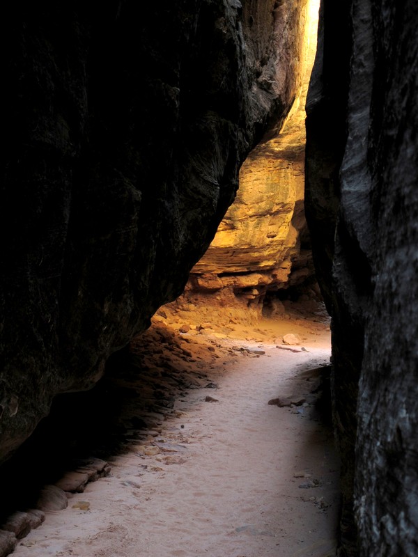 Joint Trail