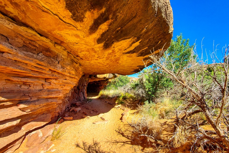 Cave Spring Trail