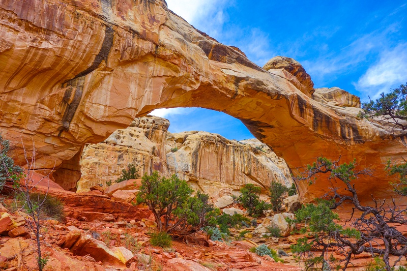 Capitol Reef National Park