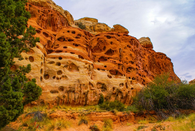 Cohab Canyon