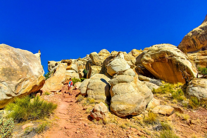 Golden Throne Trail