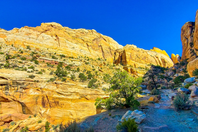 Golden Throne Trail