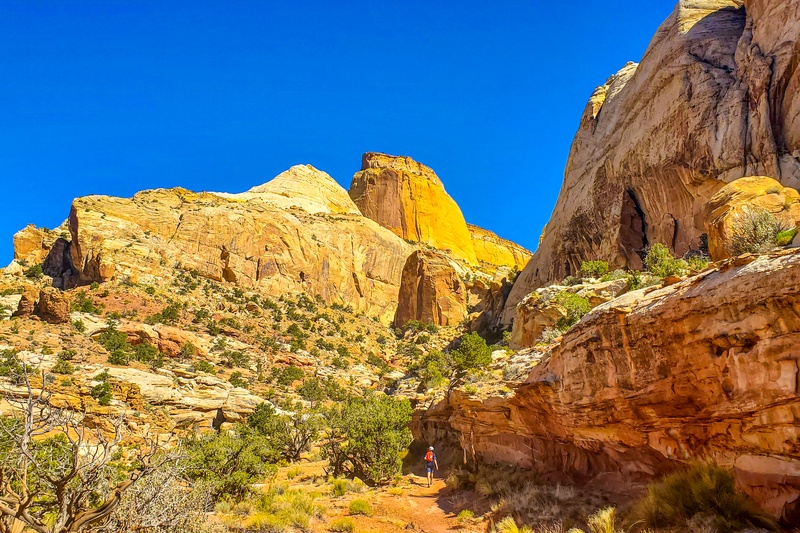 Golden Throne Trail