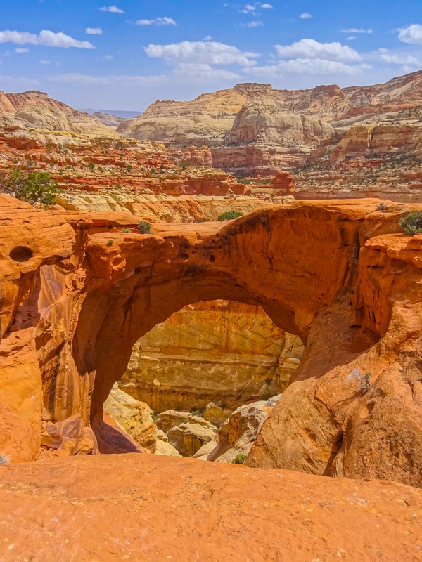 Cassidy Arch