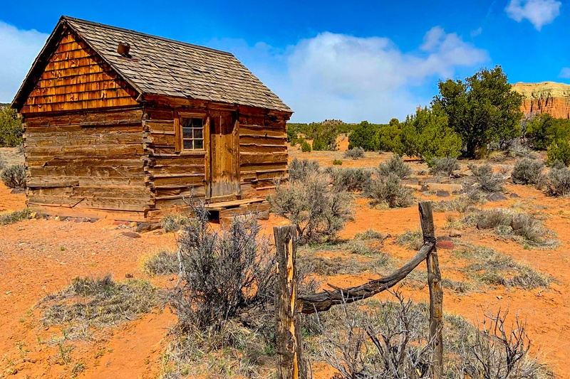 Lesley Morrell Line Cabin